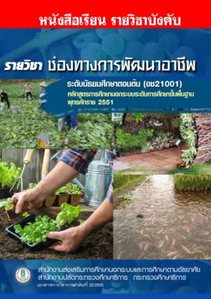 ช่องทางการพัฒนาอาชีพ